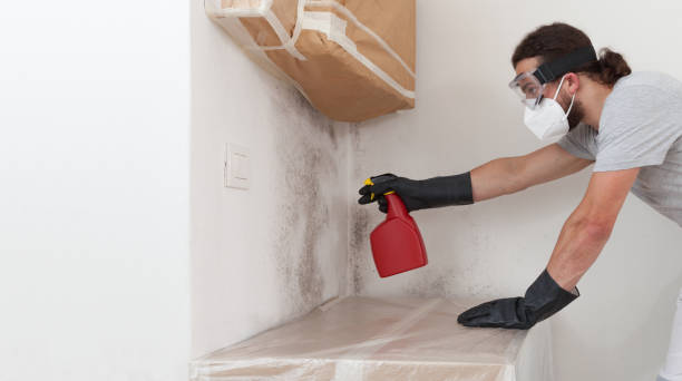 Professional Mold Inspection And Testing technician working in Thomasville, PA