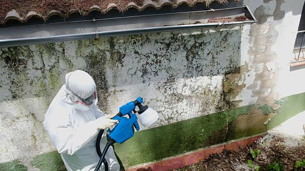 Top rated local Mold Inspection And Testing specialists in Thomasville, PA